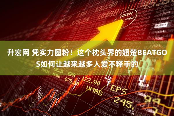 升宏网 凭实力圈粉！这个枕头界的翘楚BEATGOS如何让越来越多人爱不释手的