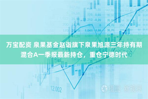万宝配资 泉果基金赵诣旗下泉果旭源三年持有期混合A一季报最新持仓，重仓宁德时代