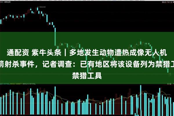 通配资 紫牛头条｜多地发生动物遭热成像无人机投箭射杀事件，记者调查：已有地区将该设备列为禁猎工具