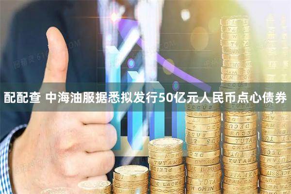 配配查 中海油服据悉拟发行50亿元人民币点心债券