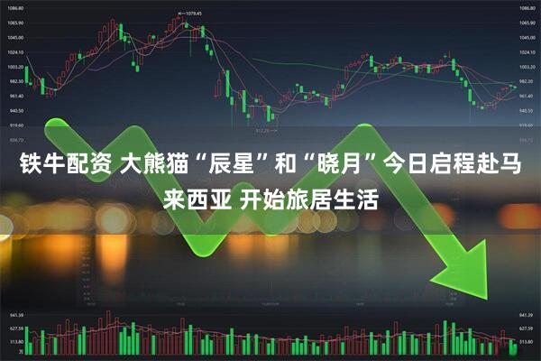 铁牛配资 大熊猫“辰星”和“晓月”今日启程赴马来西亚 开始旅居生活