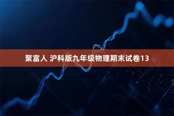 聚富人 沪科版九年级物理期末试卷13