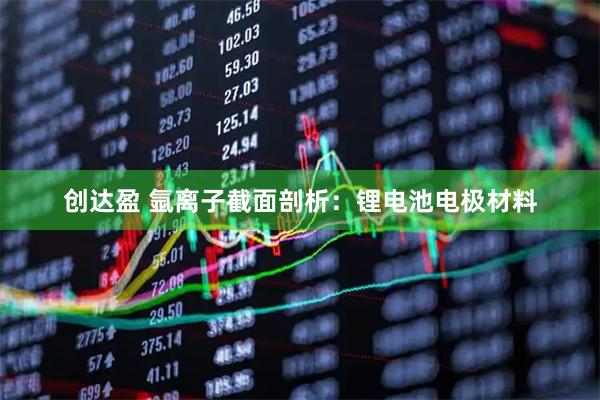 创达盈 氩离子截面剖析：锂电池电极材料