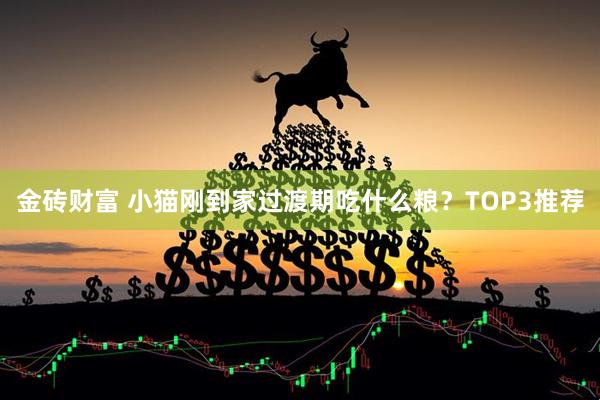 金砖财富 小猫刚到家过渡期吃什么粮？TOP3推荐