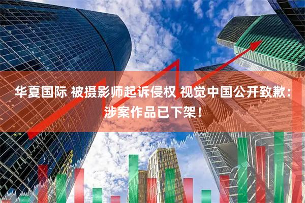 华夏国际 被摄影师起诉侵权 视觉中国公开致歉：涉案作品已下架！