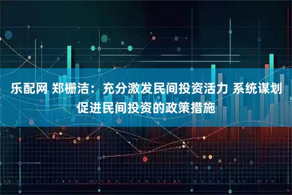乐配网 郑栅洁：充分激发民间投资活力 系统谋划促进民间投资的政策措施
